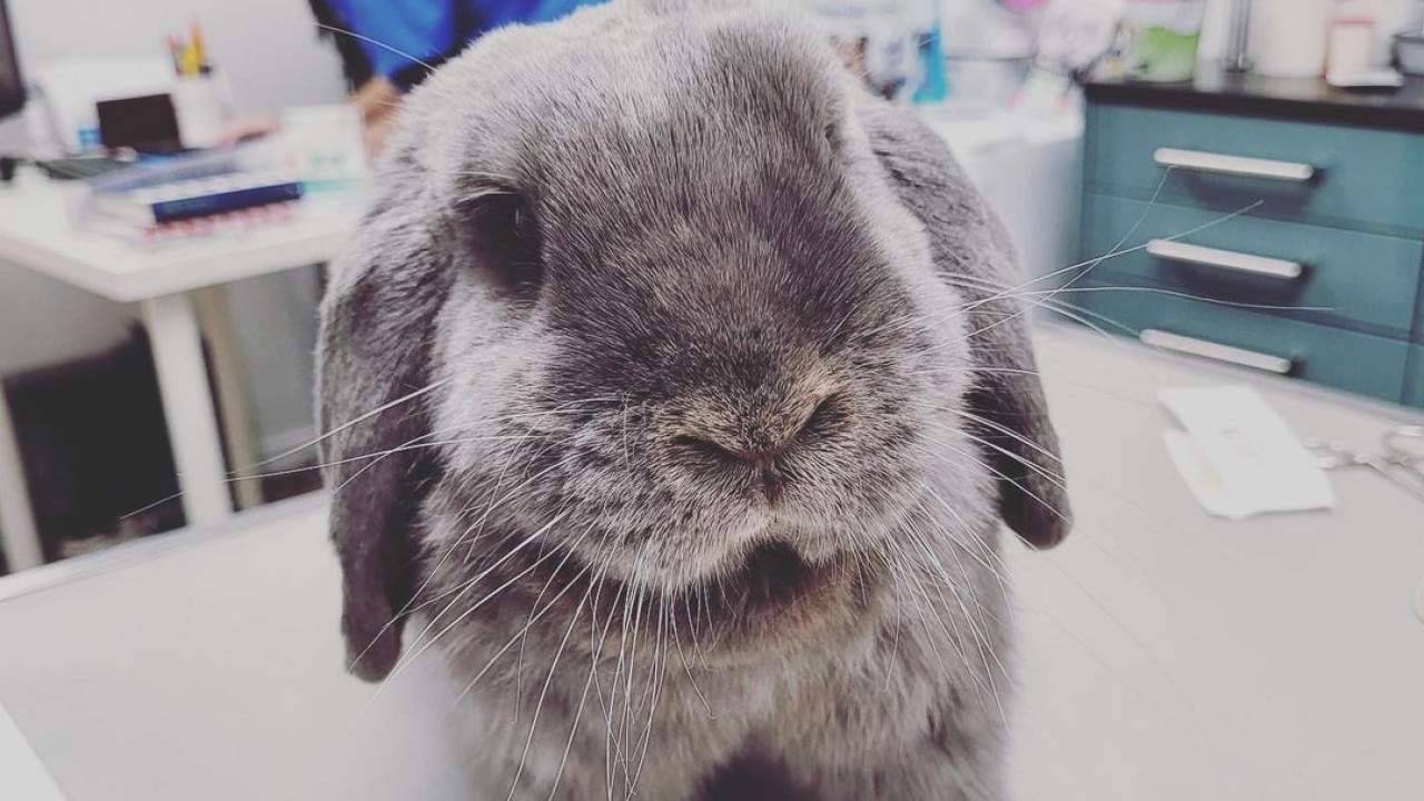 Blu