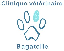 Clinique vétérinaire de Bagatelle